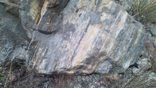 Гигантские зелёные валуны для ландшафтного дизайна весом более 5 тонн купить в Республике Алтай