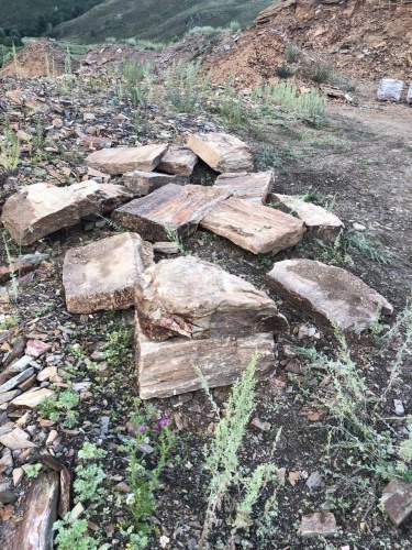 Плитняк кора дерева 50-100мм для пошаговых дорожек купить в Республике Алтай